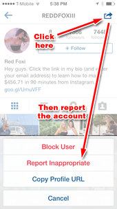 Dealing with Instagram Spam Accounts 1119-instagram-spam-2-34