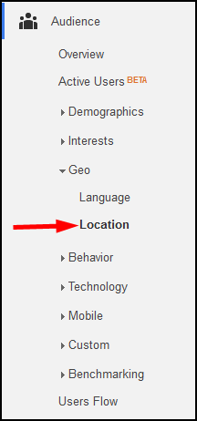 Using Google Analytics Segmenting To Analyze Local Social Network Traffic 1124-ga-geo-location-nav-59