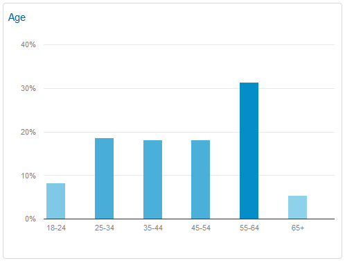 2014 Holiday Season Website Statistics 1149-ga-demographics-age-92