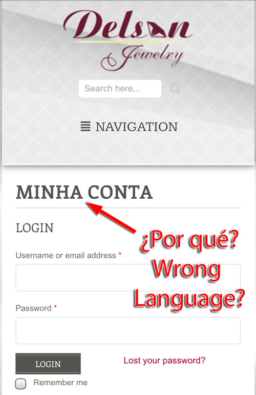 Delson Jewelry Website Review 1215-delson-login-page-22