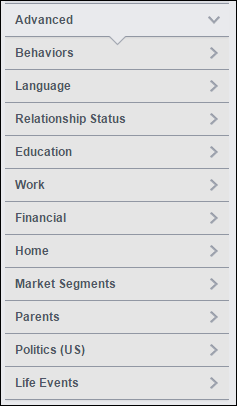 Directions for First Time Users of Facebook Audience Insights: Holiday 2015 Run-up 1353-audience-insights-advanced-1