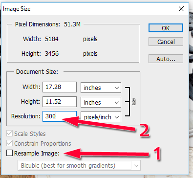 Understanding DPI and PPI Resolutions Used in Print and Web Images 1497-resize-to-300ppi-99