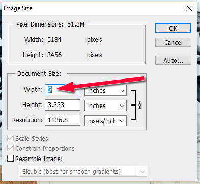 Understanding DPI and PPI Resolutions Used in Print and Web Images 1497-resize-to-5-inches-62