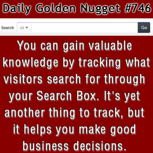 Tracking Your Website Search Box 3424-daily-golden-nugget-746 Tracking Your Website Search Box 3424-daily-golden-nugget-746