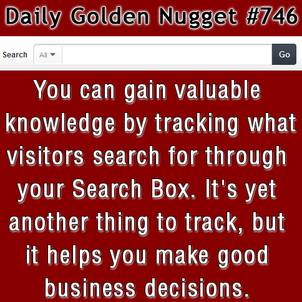 Tracking Your Website Search Box 3424-daily-golden-nugget-746