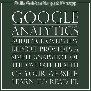 Google Analytics: Understanding the Audience Overview Report 3564-daily-golden-nugget-1059