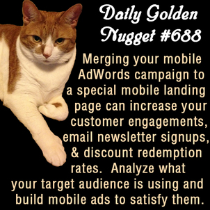 Learning Internet Marketing From a Cat 539-daily-golden-nugget-688 Learning Internet Marketing From a Cat 539-daily-golden-nugget-688