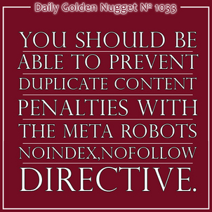 Basic SEO: Meta Robots Tag 9213-daily-golden-nugget-1033